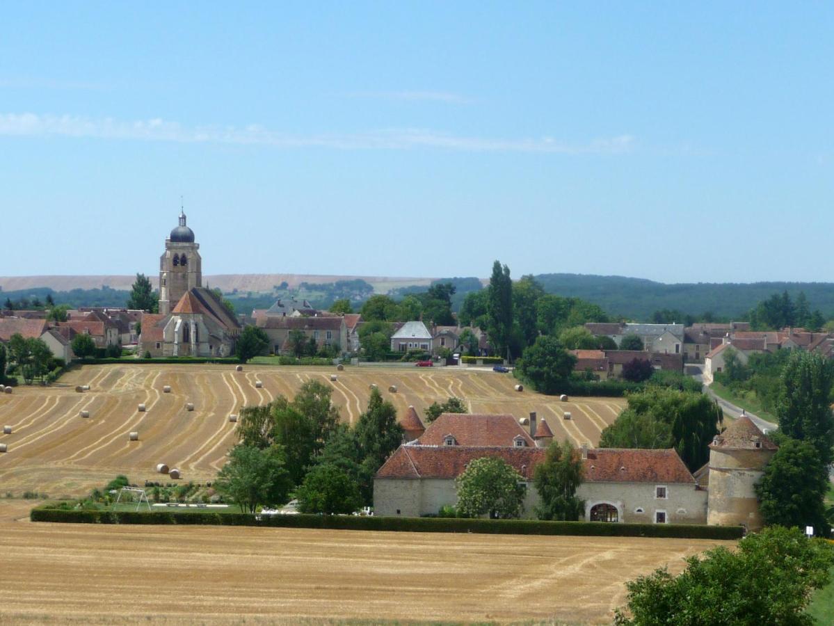 Chateau De Ribourdin Chevannes  Bagian luar foto