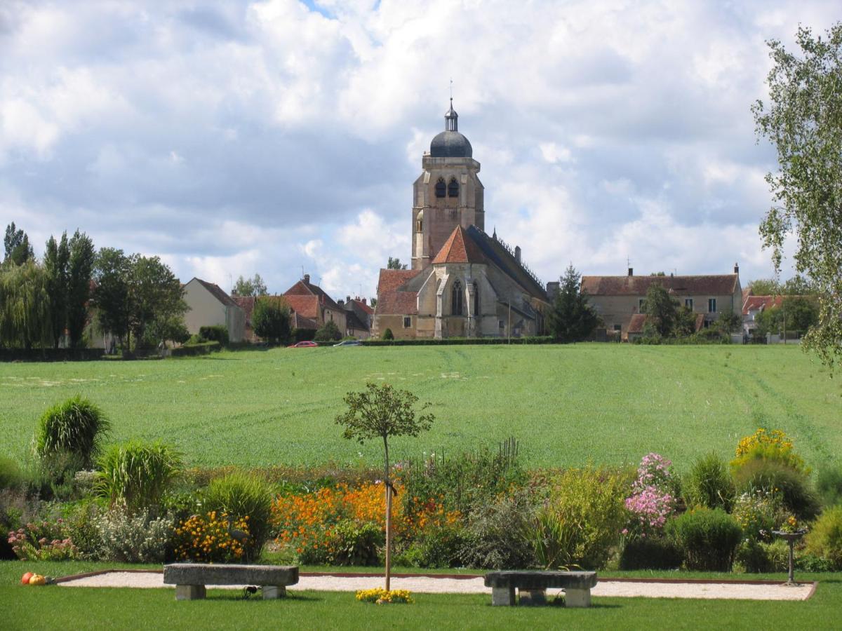 Chateau De Ribourdin Chevannes  Bagian luar foto